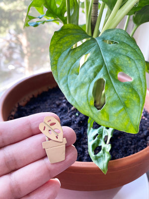 Monstera i kruka pin brosch