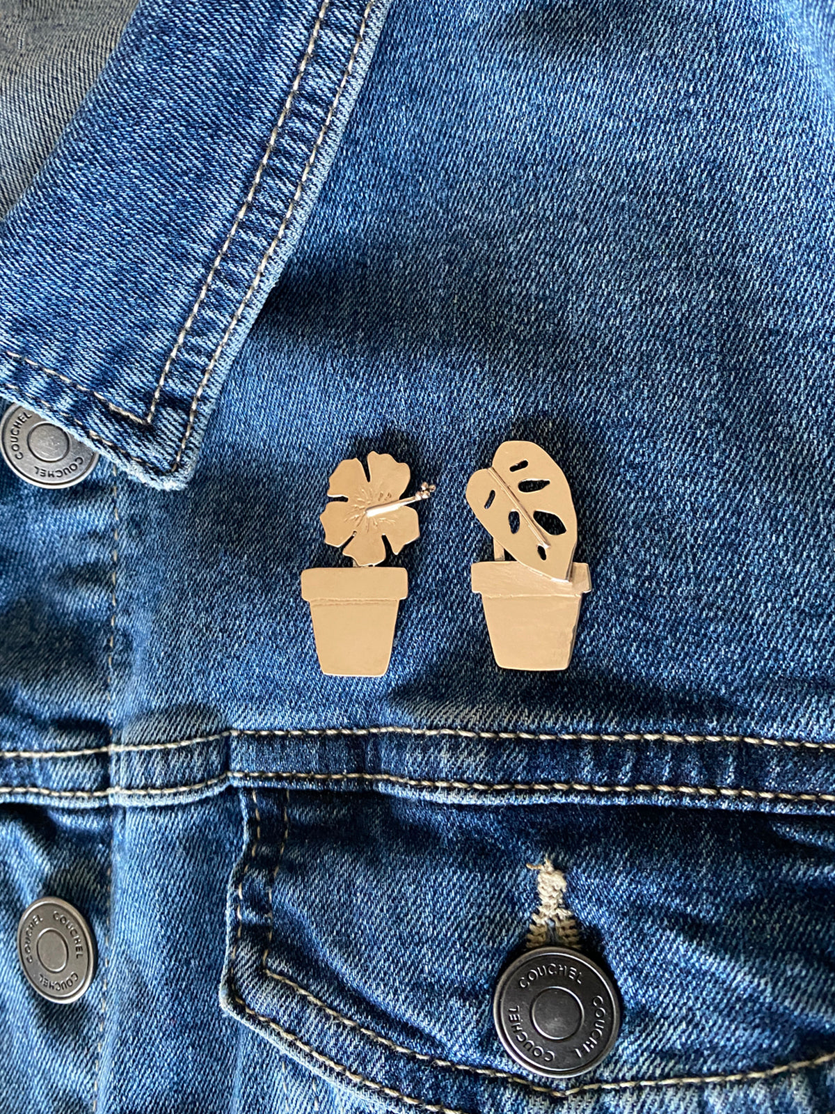 Monstera i kruka pin brosch