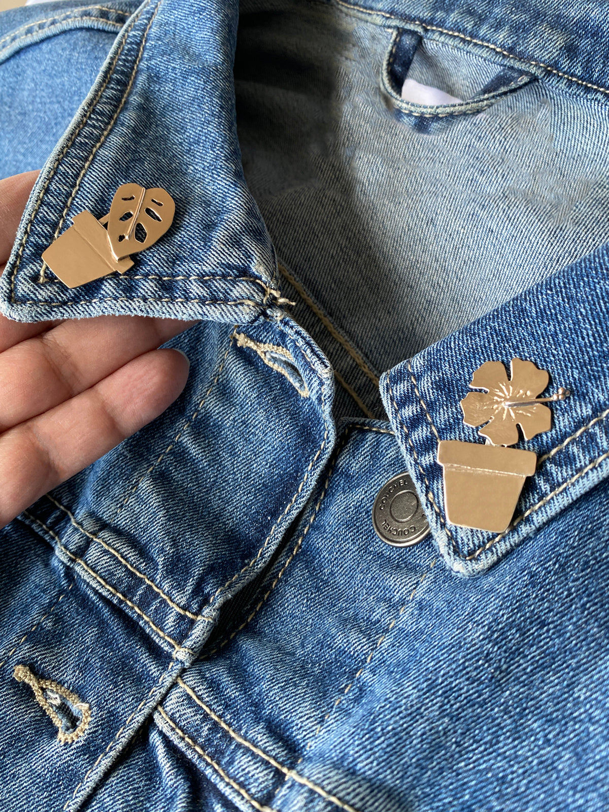 Monstera i kruka pin brosch