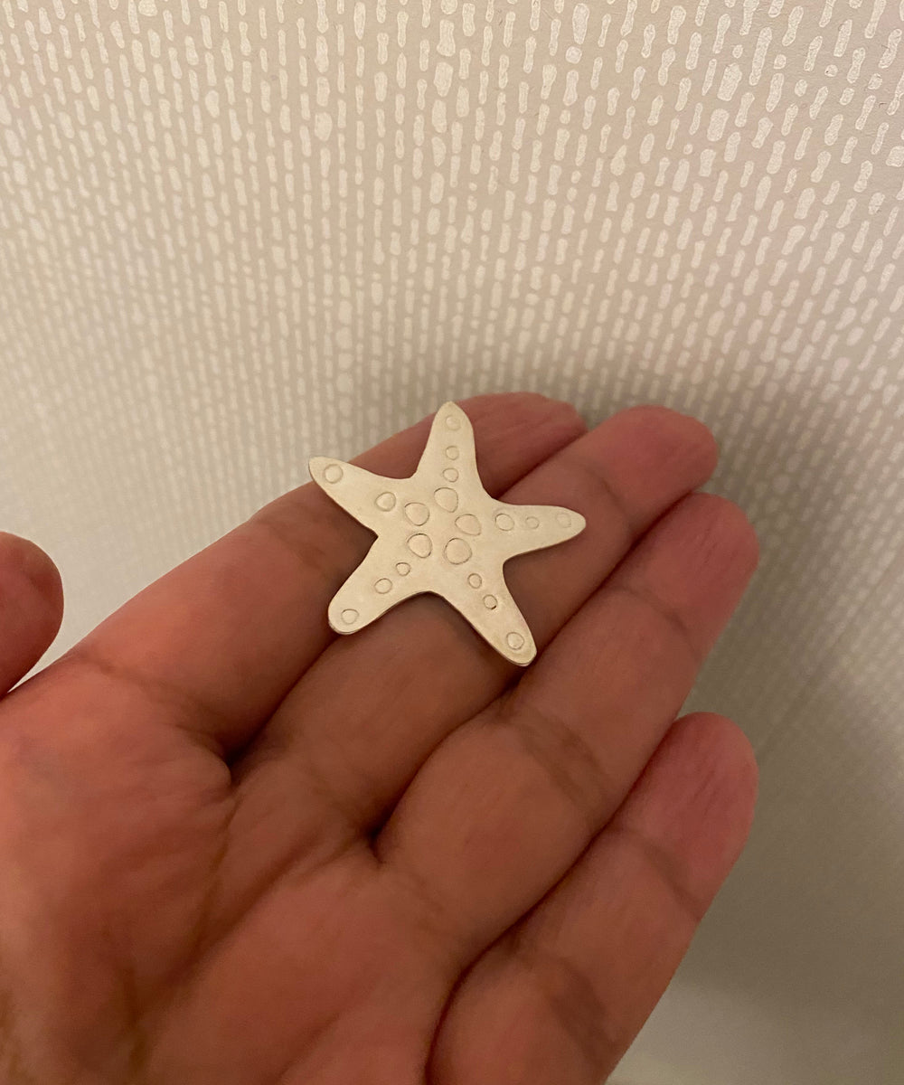 Sjöstjärna pin brosch Sterling silver, marina djur västkusten