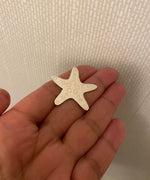 Sjöstjärna pin brosch Sterling silver, marina djur västkusten